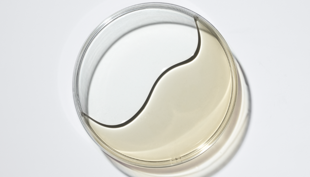 how ceramides can benefit your skin