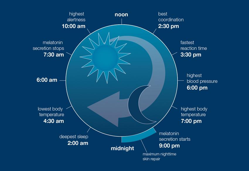 https://www.dermalogica.com.au/cdn/shop/articles/SCC_TheScienceOfSleep_Image1.jpg?v=1743720656