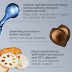 dermalogica cleansers magnetic[+] afterglow cleanser