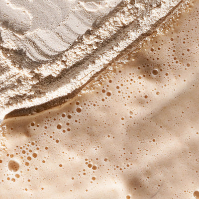 dermalogica exfoliants daily milkfoliant