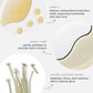 dermalogica eye treatments 15ml biolumin-c eye serum