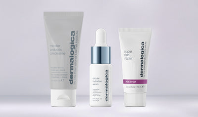 dermalogica free gift winter skin gift with purchase