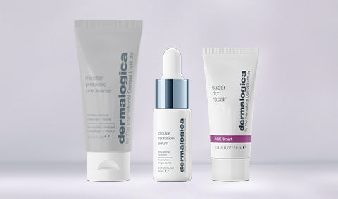 dermalogica free gift winter skin gift with purchase
