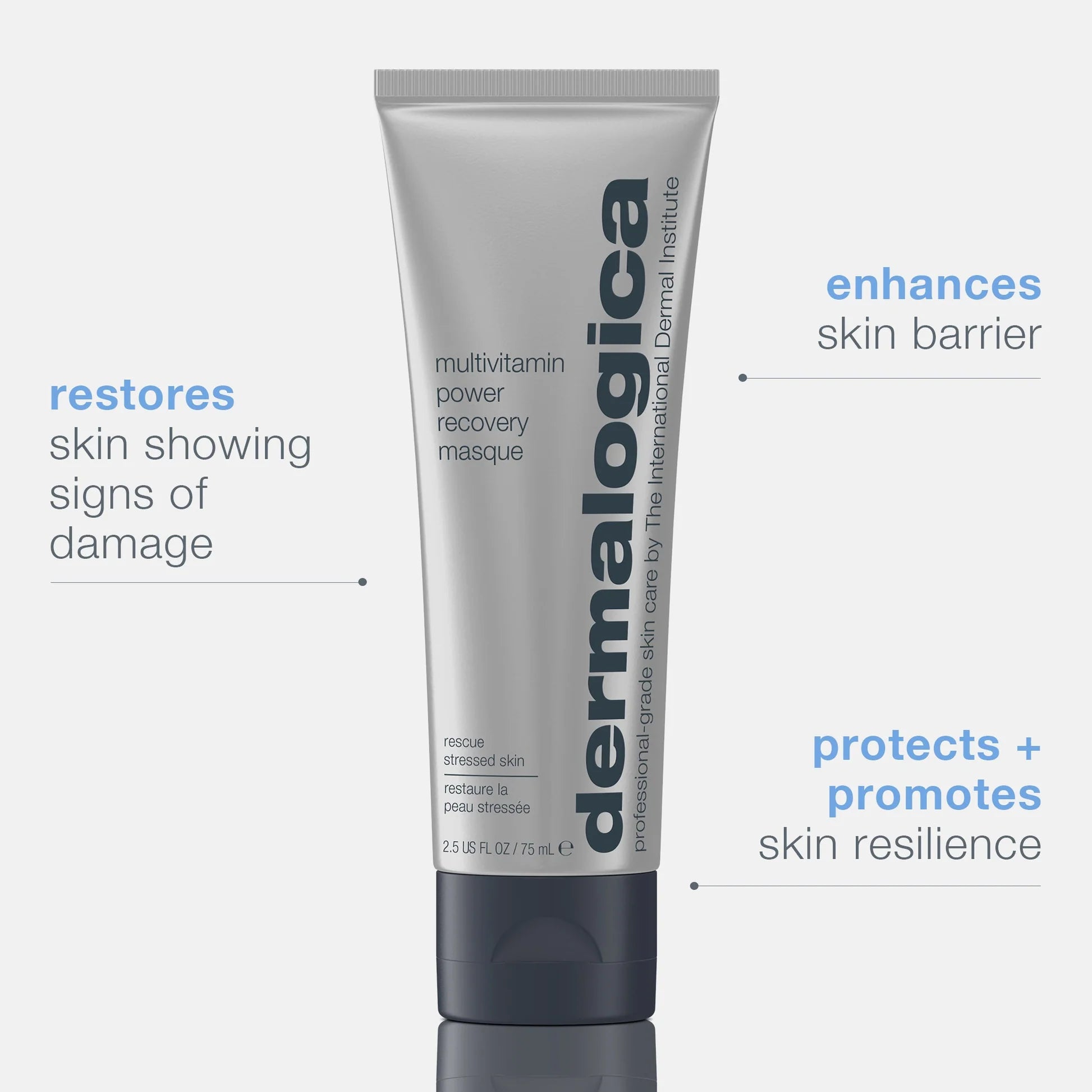 dermalogica masques 75ml multivitamin power recovery masque
