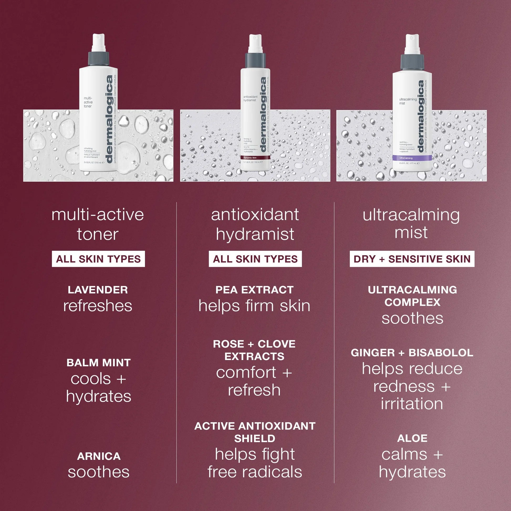dermalogica toners antioxidant hydramist toner